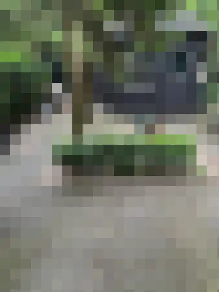 Steenoven 12 B 66 Meijel thumbnail 15