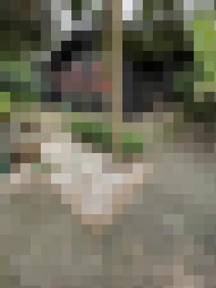 Steenoven 12 B 66 Meijel thumbnail 16