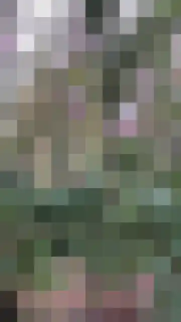 Steenoven 12 B 66 Meijel thumbnail 20