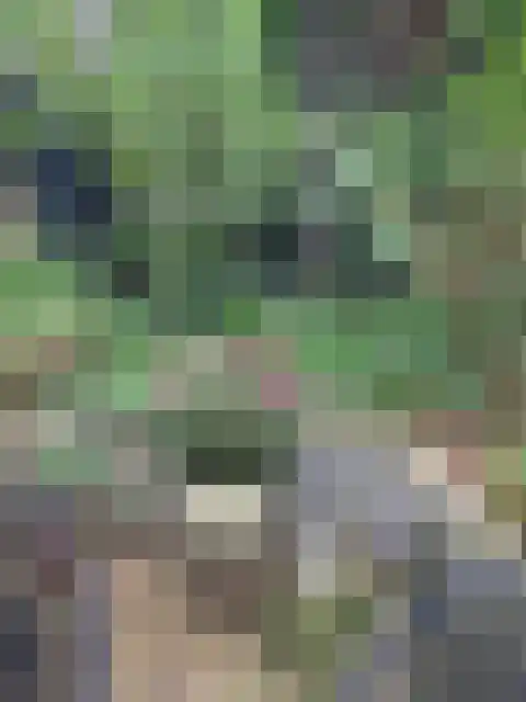 Steenoven 12 B 66 Meijel thumbnail 21