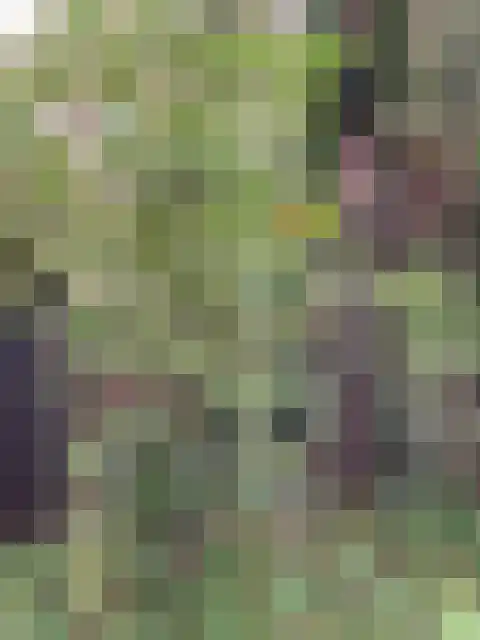 Steenoven 12 B 66 Meijel thumbnail 22