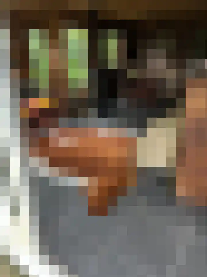 Steenoven 12 B 66 Meijel thumbnail 24