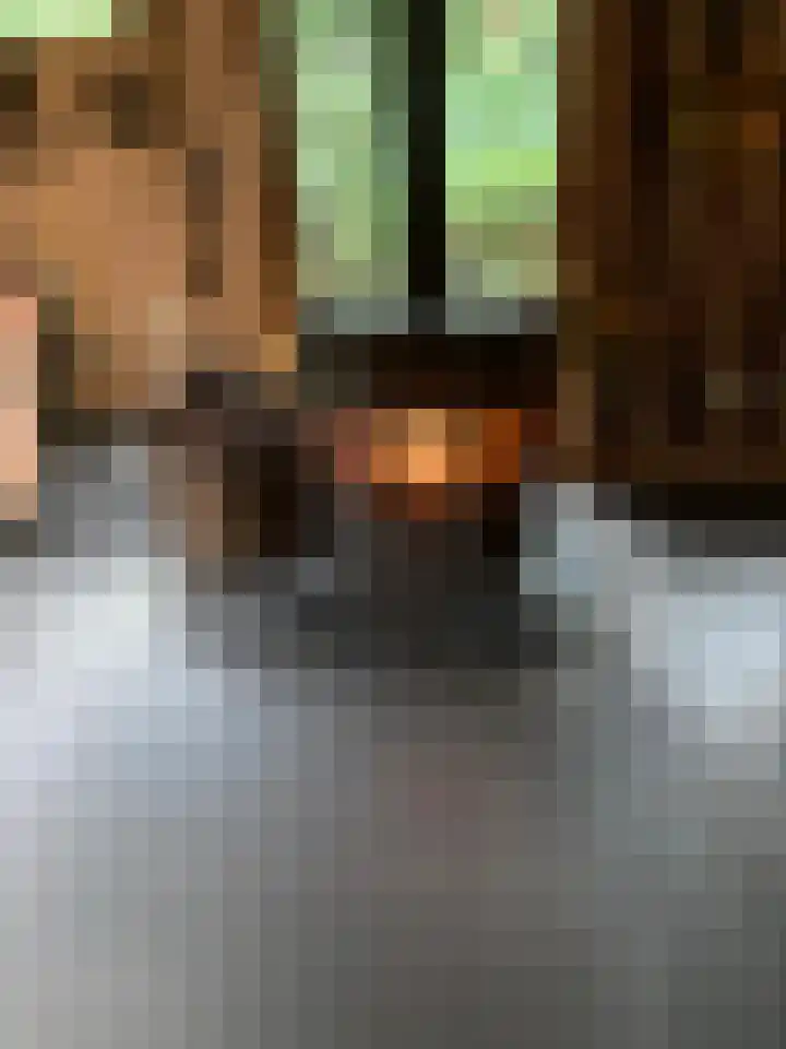 Steenoven 12 B 66 Meijel thumbnail 26