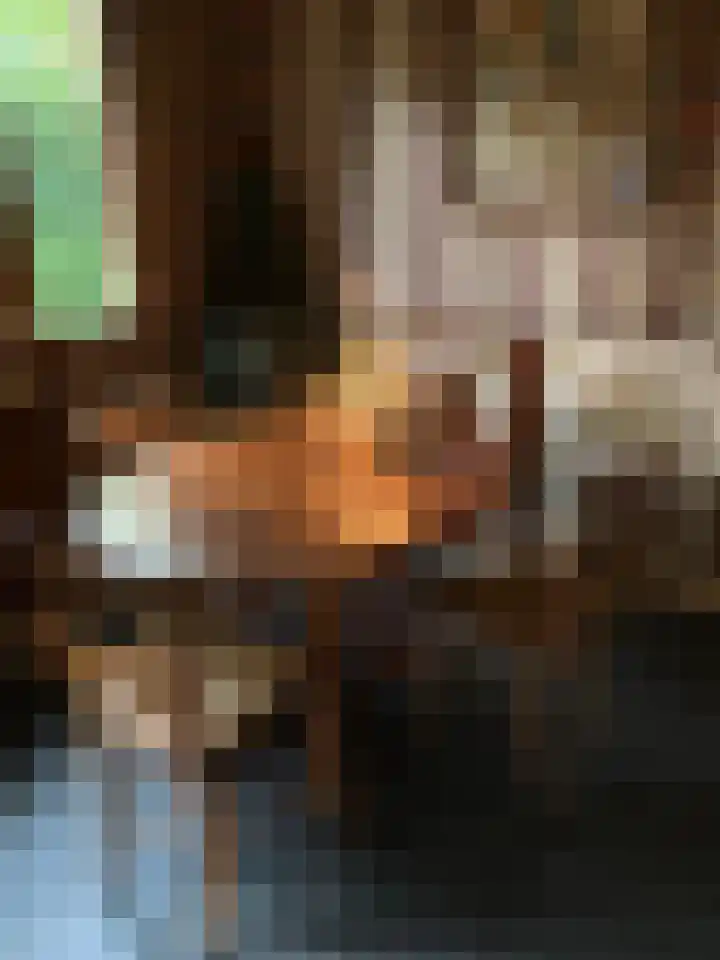 Steenoven 12 B 66 Meijel thumbnail 28