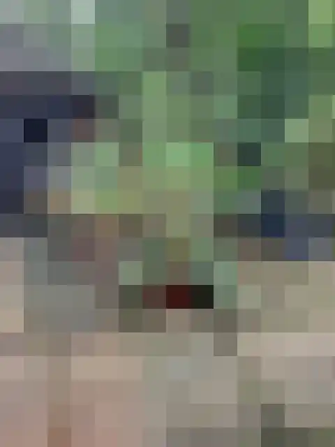 Steenoven 12 B 66 Meijel thumbnail 31