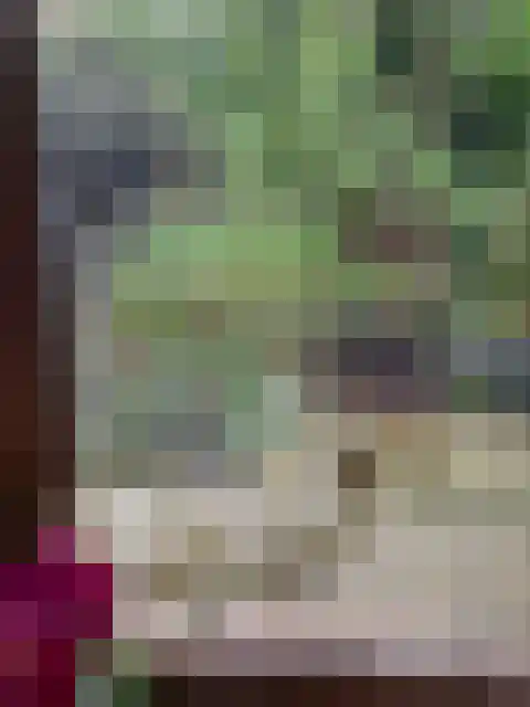 Steenoven 12 B 66 Meijel thumbnail 32