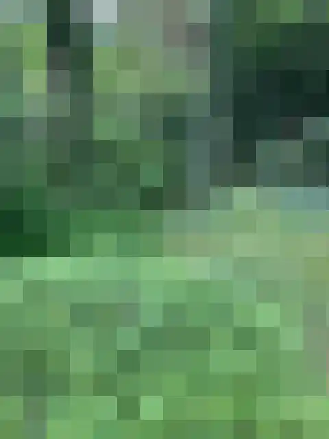 Steenoven 12 B 66 Meijel thumbnail 33