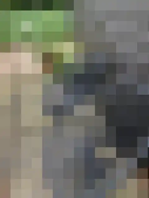 Steenoven 12 B 66 Meijel thumbnail 35