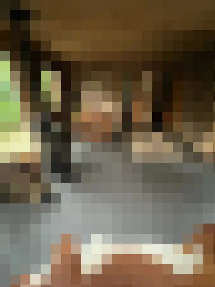 Steenoven 12 B 66 Meijel thumbnail 4