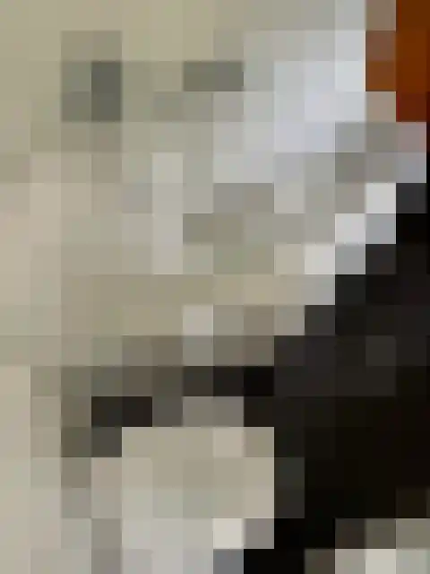 Steenoven 12 B 66 Meijel thumbnail 5