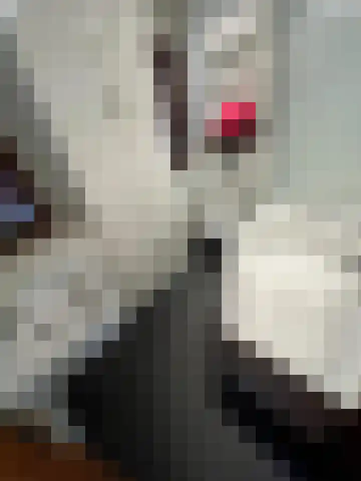 Steenoven 12 B 66 Meijel thumbnail 6