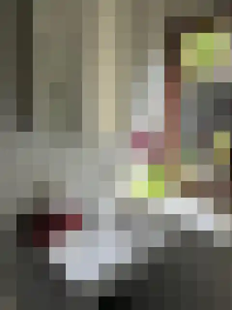 Steenoven 12 B 66 Meijel thumbnail 7