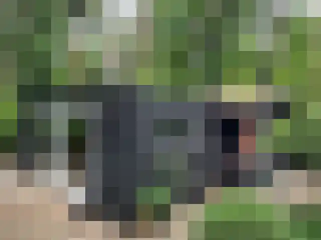 Steenoven 12 B 66 Meijel thumbnail 9