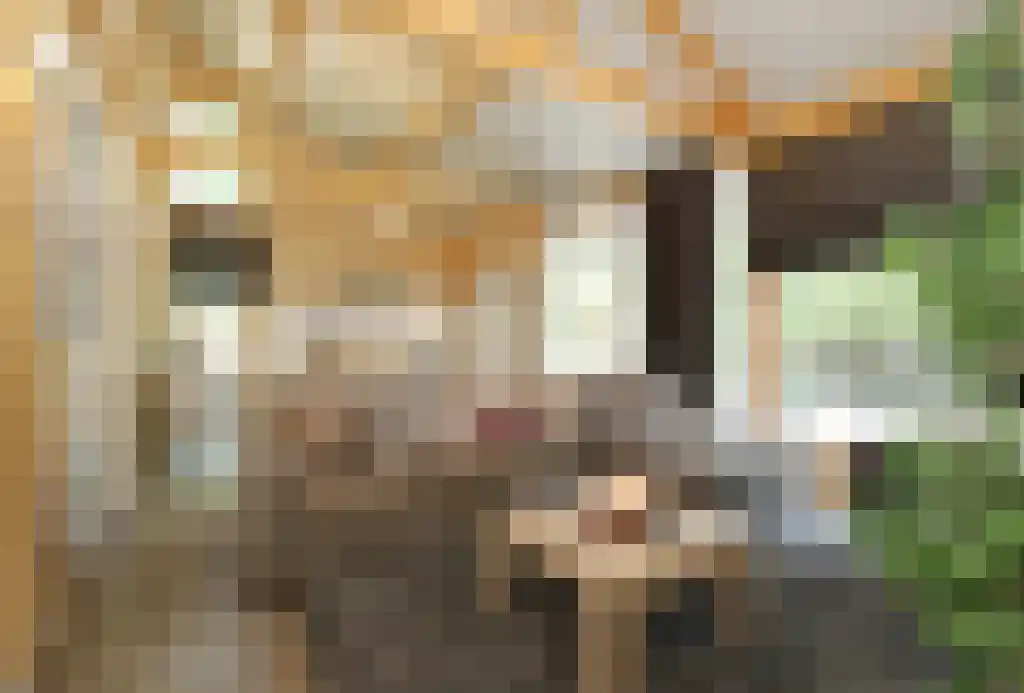 Steenoven 12 Meijel thumbnail 5