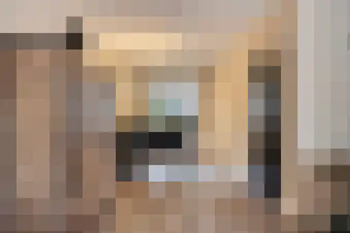 Steenoven 15 Someren thumbnail 10