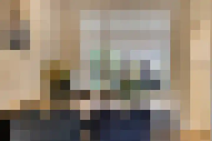 Steenoven 15 Someren thumbnail 11