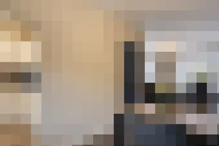Steenoven 15 Someren thumbnail 12