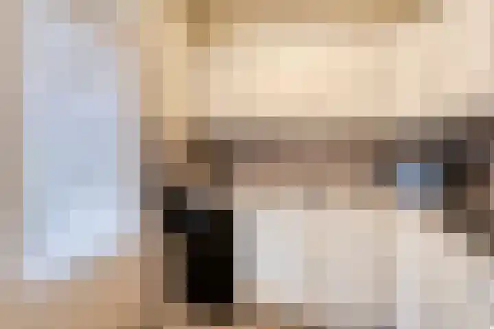 Steenoven 15 Someren thumbnail 13