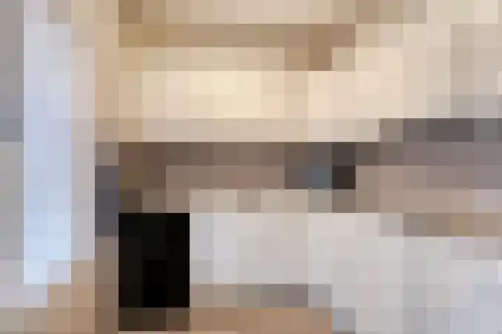Steenoven 15 Someren thumbnail 14