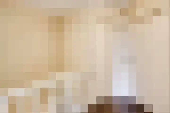 Steenoven 15 Someren thumbnail 15