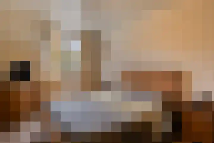 Steenoven 15 Someren thumbnail 16
