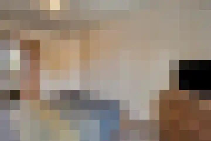 Steenoven 15 Someren thumbnail 17