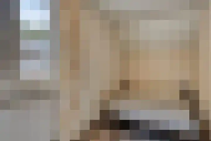 Steenoven 15 Someren thumbnail 18