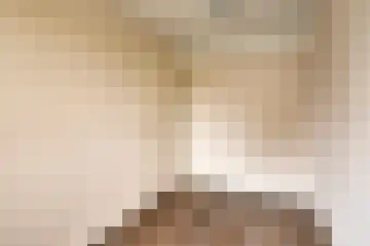 Steenoven 15 Someren thumbnail 19