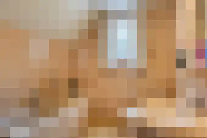 Steenoven 15 Someren thumbnail 21