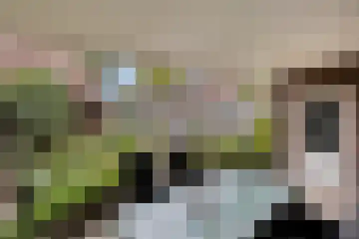 Steenoven 15 Someren thumbnail 22