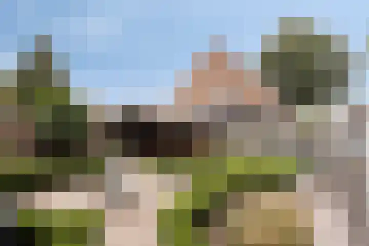 Steenoven 15 Someren thumbnail 23