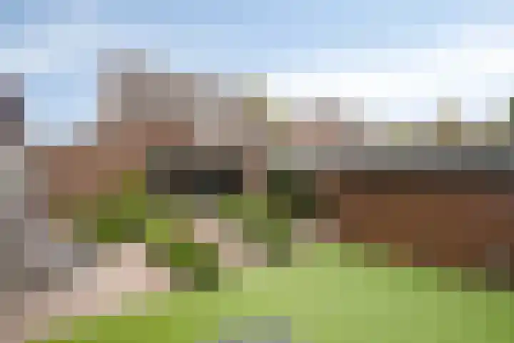 Steenoven 15 Someren thumbnail 24