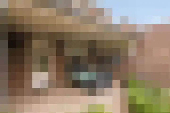 Steenoven 15 Someren thumbnail 25