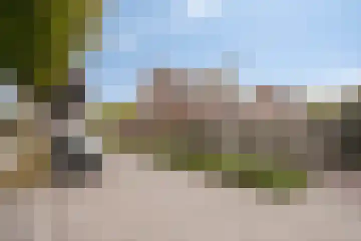 Steenoven 15 Someren thumbnail 26