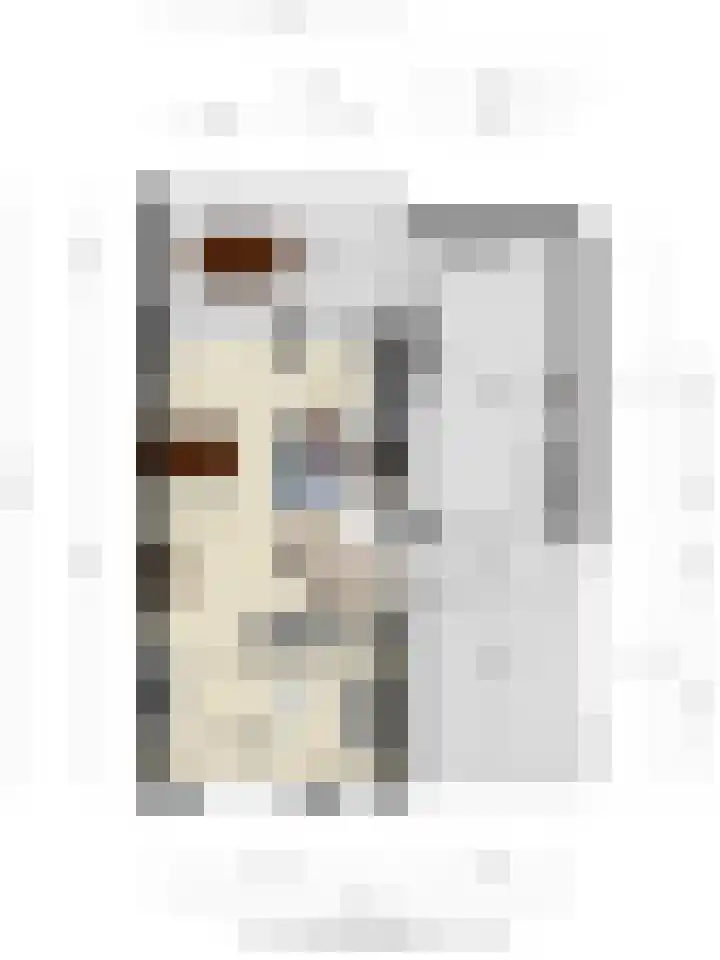 Steenoven 15 Someren thumbnail 27