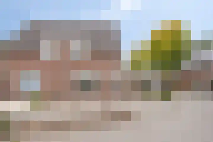 Steenoven 15 Someren thumbnail 4