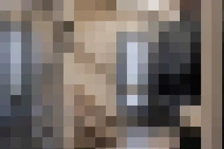 Steenoven 15 Someren thumbnail 5