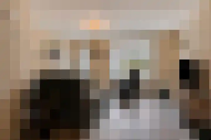 Steenoven 15 Someren thumbnail 7