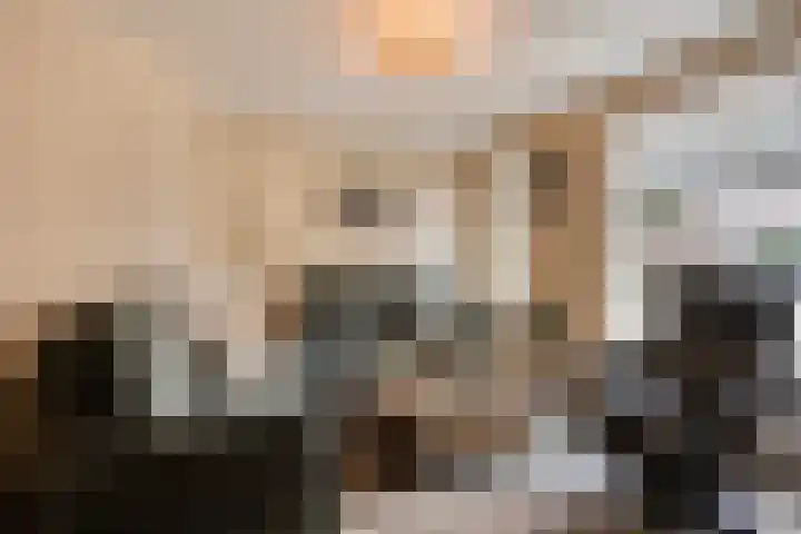 Steenoven 15 Someren thumbnail 8