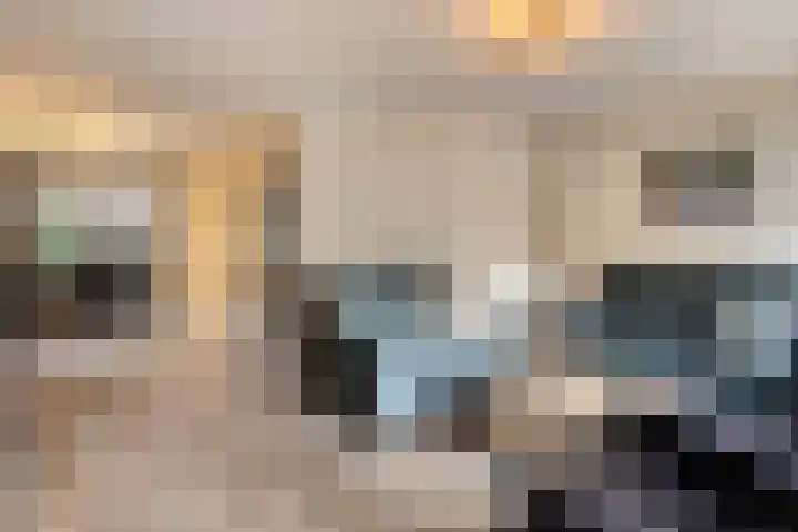 Steenoven 15 Someren thumbnail 9