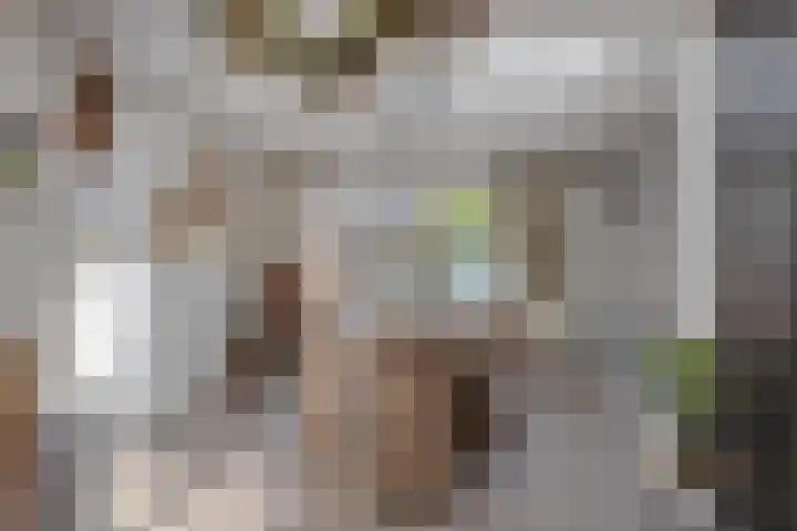 Steenoven 22 Someren thumbnail 10
