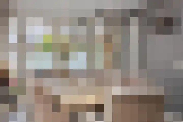 Steenoven 22 Someren thumbnail 11