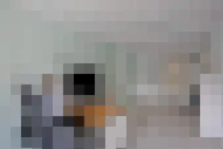 Steenoven 22 Someren thumbnail 14