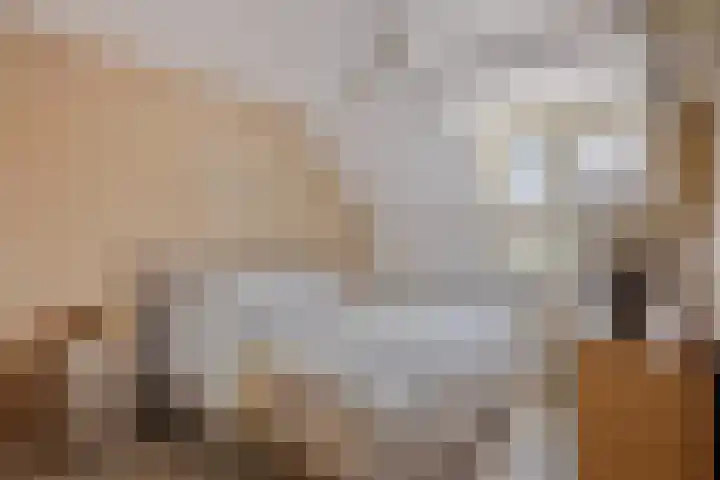 Steenoven 22 Someren thumbnail 20