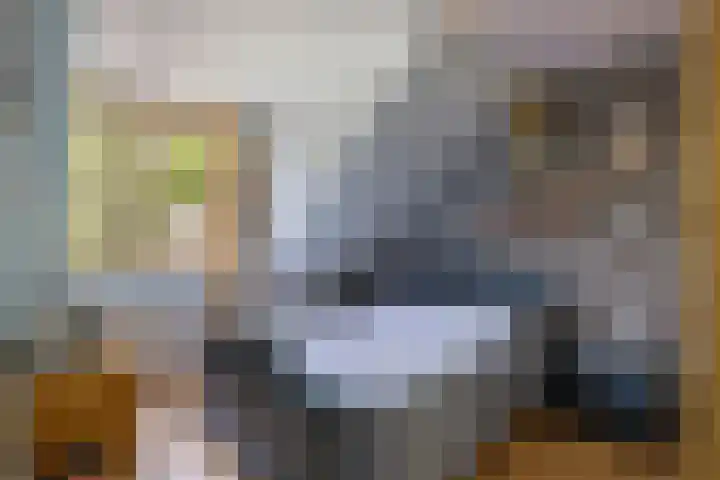 Steenoven 22 Someren thumbnail 22