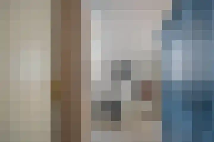 Steenoven 22 Someren thumbnail 28