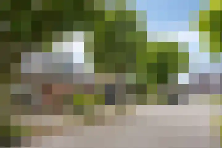 Steenoven 22 Someren thumbnail 34