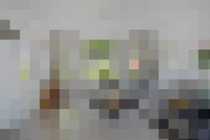 Steenoven 22 Someren thumbnail 4