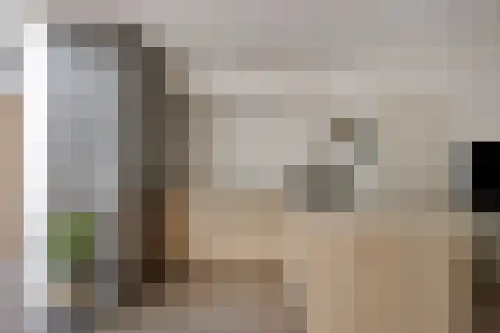 Steenoven 22 Someren thumbnail 6