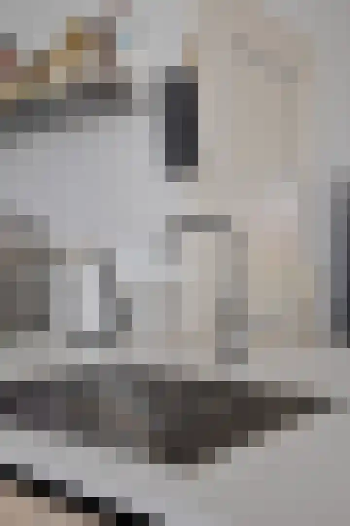 Steenoven 22 Someren thumbnail 9